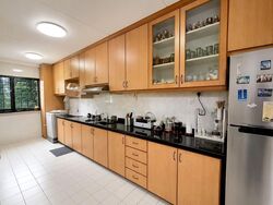 Blk 183 Stirling Rise (Queenstown), HDB 5 Rooms #603515751